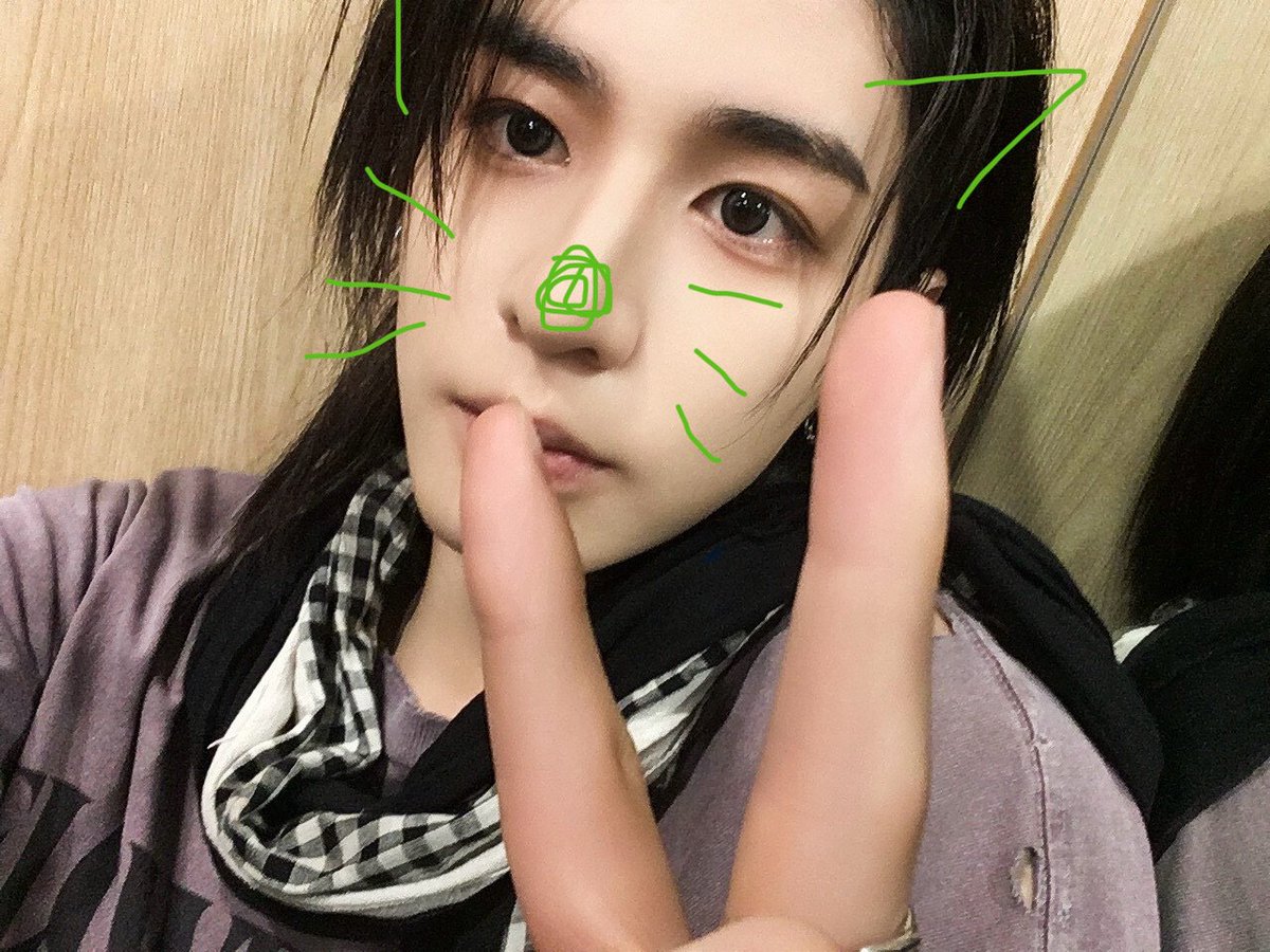 BND_JELLYBEAR's tweet photo. 냐냐냥ต ᳐ ᷇ᵕ  ᷆ ᳐ต੭ 🐾🐾💕 https://t.co/zE2tOIB27g