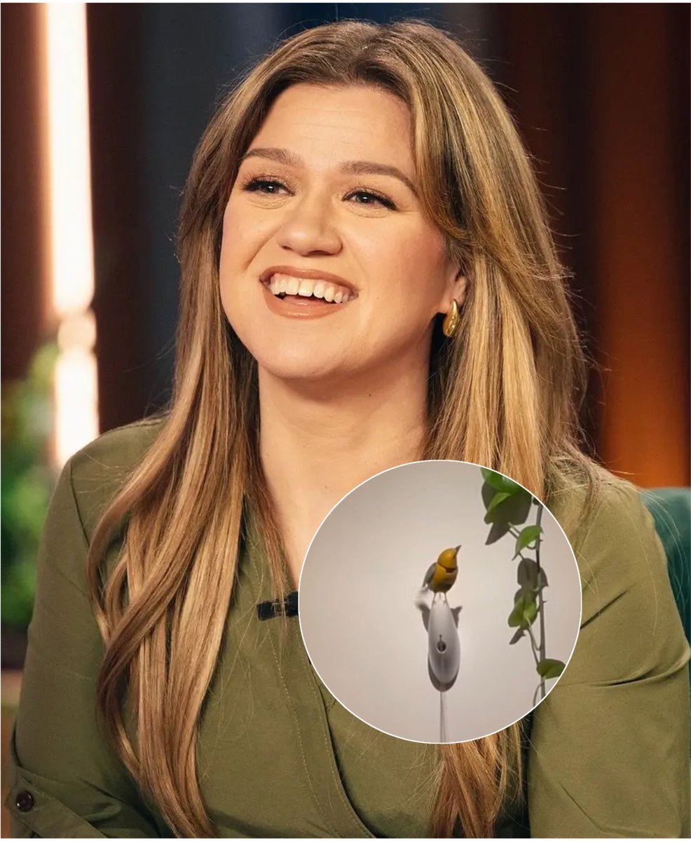 PopBase's tweet photo. Art of Play, the store of the Kelly Clarkson saga, shares new statement:

“We'd like to clarify one additional detail about Kelly Clarkson's visit to our Curiosity Shop on Saturday.

During the 5 minutes she spent in the store, she inquired about our mechanical bird puppet named Molly. We explained that while Molly is permanently attached to the wall and serves as a de facto mascot for our shop, a nearly identical automaton is owned by the creator of the machines, a brilliant artist named Bliss Kolb who lives in Seattle. He told us he would be willing to part with Molly's twin for $15,000. We explained all of this to Kelly Clarkson.

We also offered to show her a different singing bird automaton, made by a traditional clockmaking shop in Germany, that she could have taken home with her that day. It costs about $2,000. She did not stick around long enough to see it.

We've reached out to Kelly directly to try and clear the air. We really do wish her the best and hope that someday we can all laugh about this misunderstanding.”
