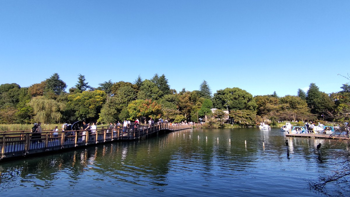 SASATTI0802's tweet photo. #井の頭公園
#イマソラ
夏を感じられるのは、今年、最後でしょうか？
暑すぎるのは困るけど、今日くらいの気候の夏は好きです。 https://t.co/Ll7chwvjLP