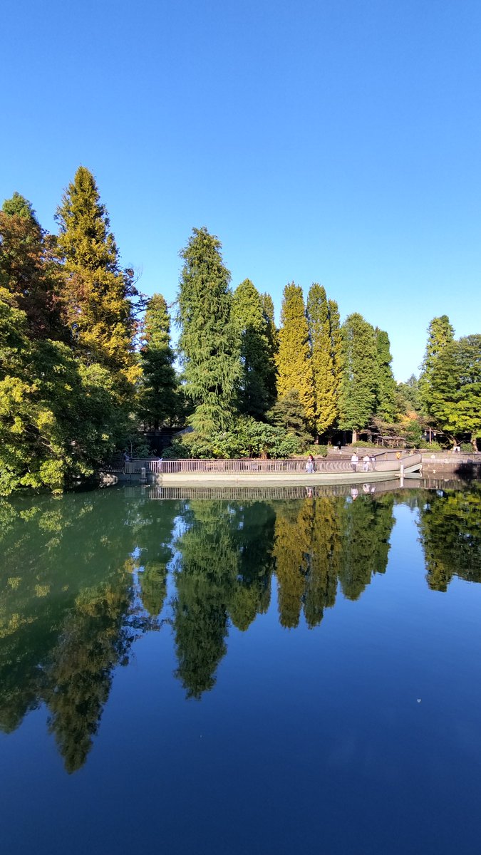 SASATTI0802's tweet photo. #井の頭公園
#イマソラ
夏を感じられるのは、今年、最後でしょうか？
暑すぎるのは困るけど、今日くらいの気候の夏は好きです。 https://t.co/Ll7chwvjLP
