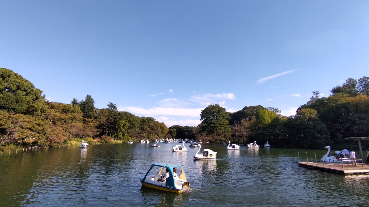 SASATTI0802's tweet photo. #井の頭公園
#イマソラ
夏を感じられるのは、今年、最後でしょうか？
暑すぎるのは困るけど、今日くらいの気候の夏は好きです。 https://t.co/Ll7chwvjLP