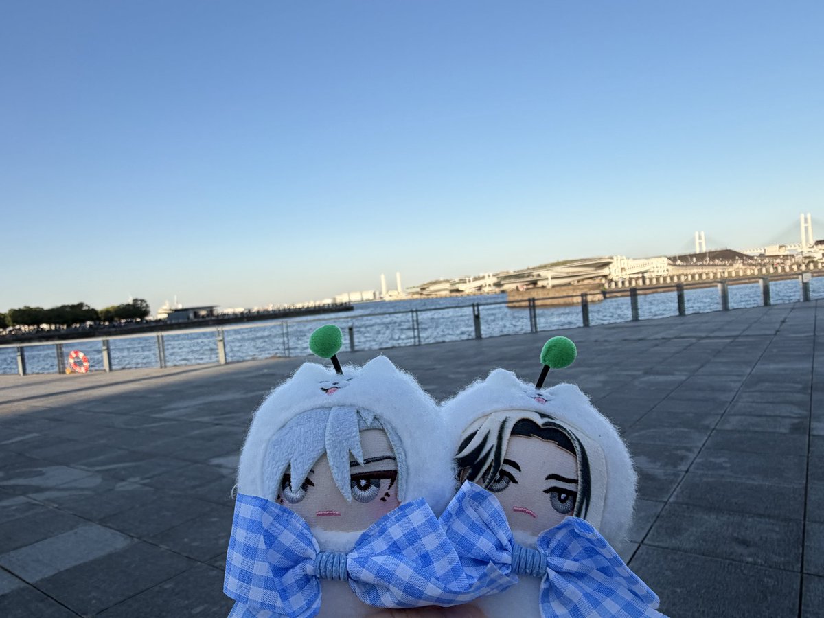 akasata_iroiro's tweet photo. 【落し物】
18TRIPしゅうまい着ぐるみマスコット雪風、礼光を落としてしまいました。
青いギンガムチェックのリボンが付いています。
10/12 13時以降に池袋サンシャインシティ~池袋駅付近で落としたと思われます。見かけた方がいらっしゃいましたらご連絡いただけますと幸いです。
 #落し物
 #エイトリ https://t.co/EKsZJE4TIV