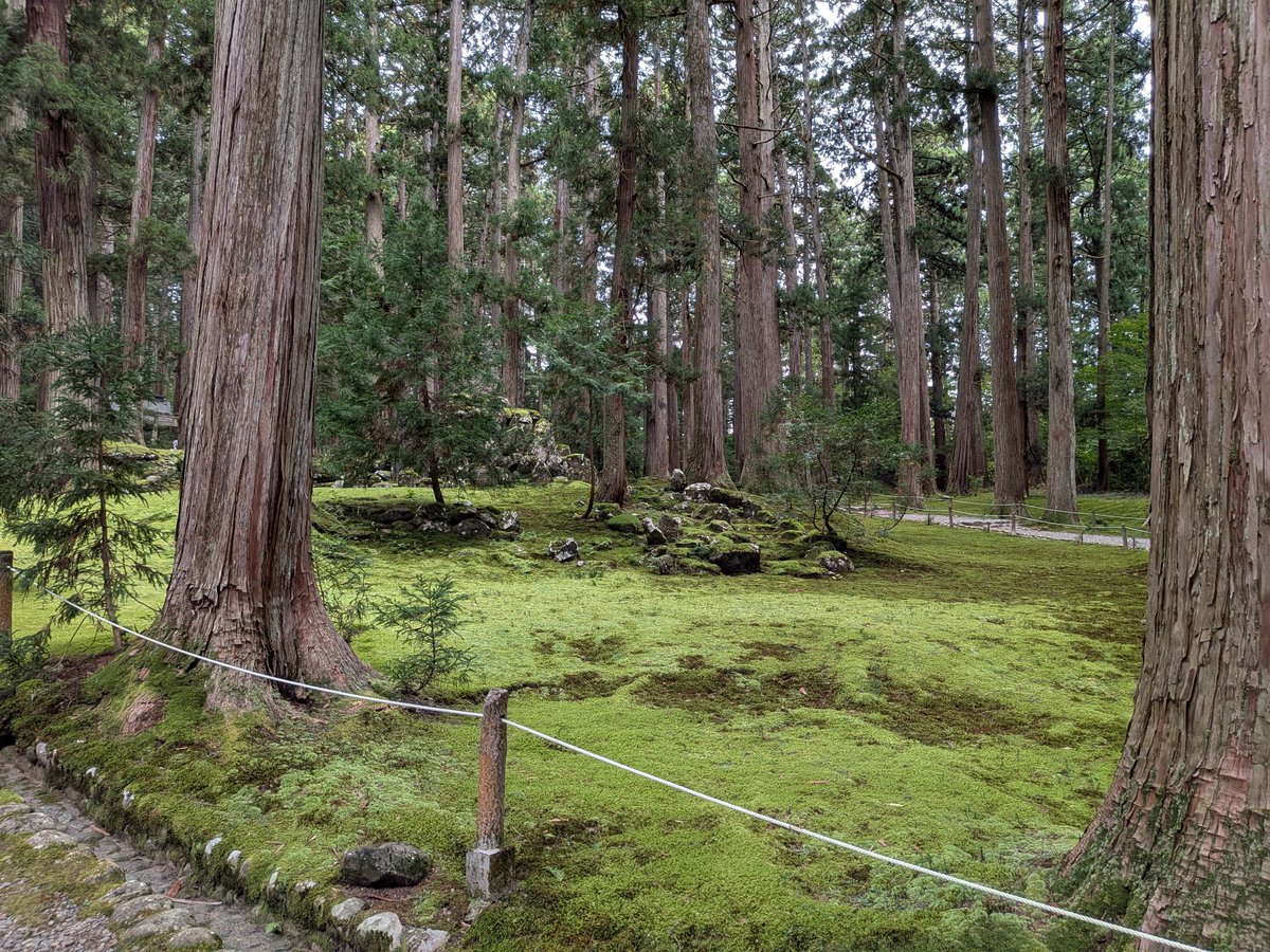crowesnaoki's tweet photo. 白山平泉寺２
（福井県勝山市） https://t.co/UYm94Wdpno
