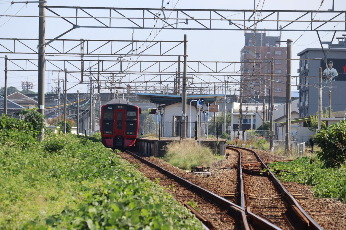 jikko680687's tweet photo. 【今日の787系】🎌2026/10/12(Mon)
5006M特急にちりん6号 宮崎空港7:45発 大分行き(大分11:10着)
787系 BO6101編成(分オイ) ※営業車検測装置搭載車両

#787系 #BO6101 #大分車両センター #日豊本線 #大在駅 #坂ノ市駅 https://t.co/u0dLOYZSLn