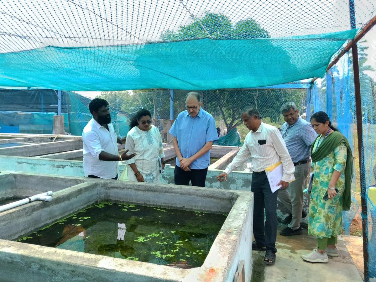 FisheriesGoI's tweet photo. Dr. Abhilaksh Likhi, Secretary, Department of Fisheries, Government of India, visited the Padimuneeswarar Integrated Ornamental Fish Farm at Mukkampatti, Madurai, Tamil Nadu, and interacted with ornamental fish farmers to understand their best practices, emerging opportunities and key challenges.

The interaction highlighted the potential of scientific breeding practices, quality broodstock, entrepreneurship and stronger market linkages to enhance farmers’ incomes, promote sustainable livelihoods and strengthen India’s ornamental fisheries value chain. Madurai has been notified as the ‘Ornamental Fisheries Cluster’ under the Pradhan Mantri Matsya Sampada Yojana (PMMSY).

Supported under the Pradhan Mantri Matsya Sampada Yojana (PMMSY), the farm, with a project cost of ₹25 lakh, breeds and rears over 30 varieties of ornamental fish, producing around 2 lakh fish seed annually.

#PMMSY #OrnamentalFisheries #BlueEconomy