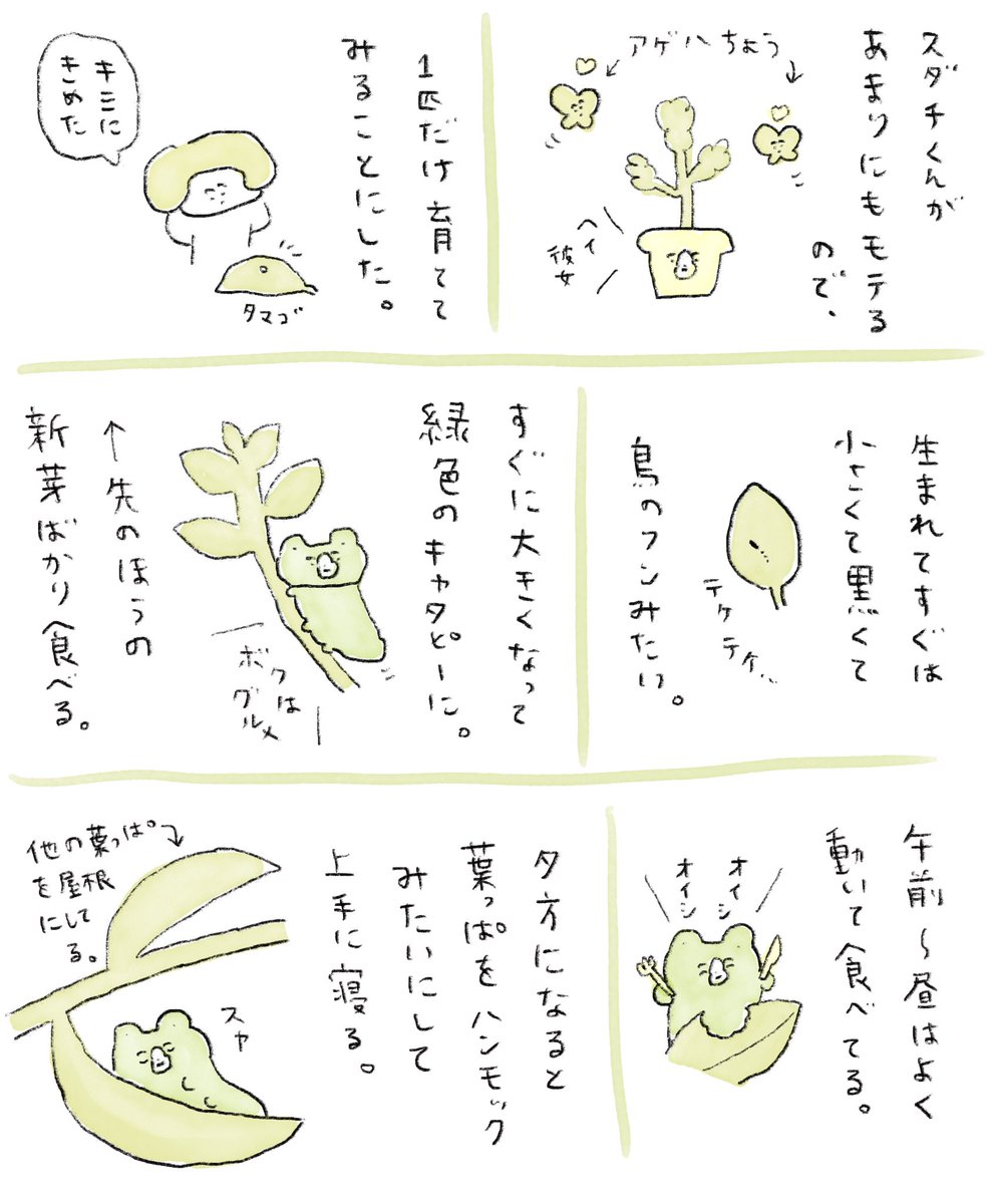 cosmo_enoki's tweet photo. 今3センチくらいでかわいい https://t.co/M9LR3i2rNA