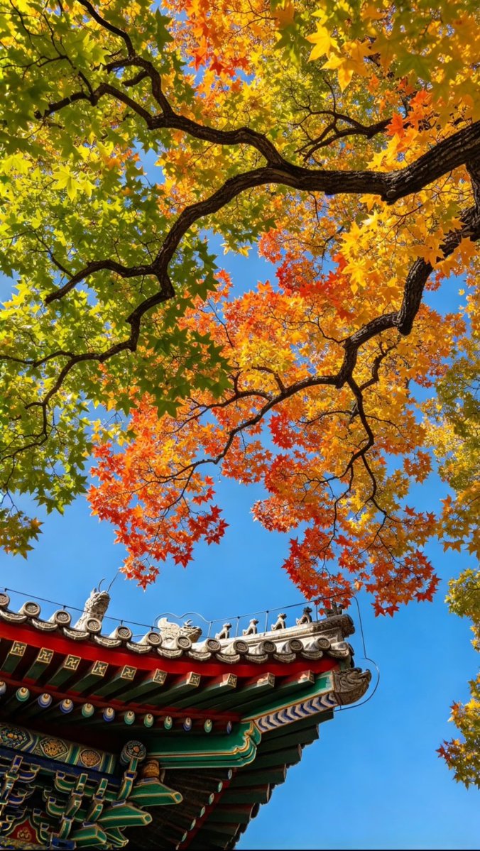 FcTawat's tweet photo. 五彩斑斓的秋天~~ https://t.co/VOdkopHxq9
