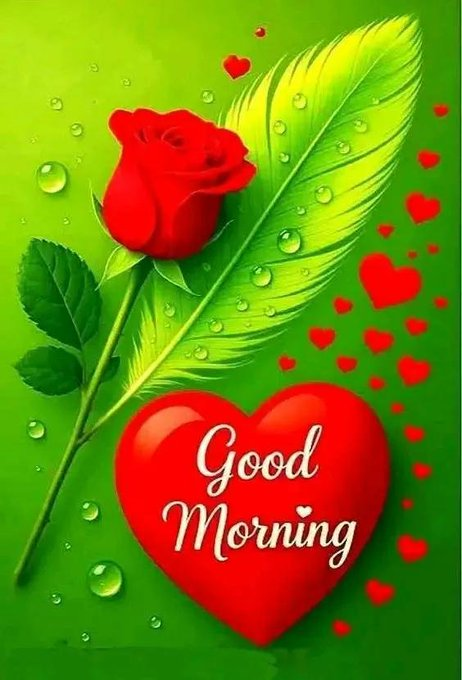 mdpasha36684's tweet photo. @amalfahmygm https://t.co/wQp1qyzyLa