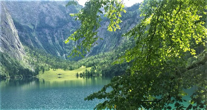 Greenisamissio1's tweet photo. The fact that forests, meadows and water are good for your health is not only a common credo, there are countless studies that prove it. In Japan, which is one of the pioneers in forest medicine, "forest bathing" - Shinrin Yoku in Japanese - is now part of national health care.💚 https://t.co/s0HjUH3beP