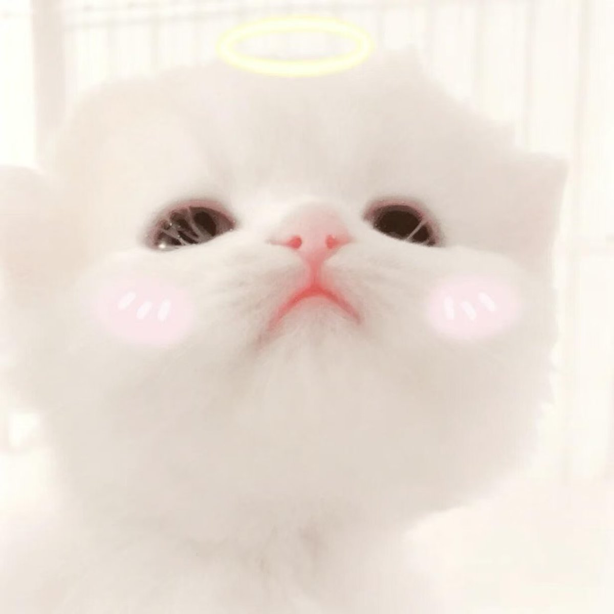 Mr765Mr's tweet photo. X有附近人功能吗？ 比如我现在在武汉，我要��么刷到同城的人?  #武汉 https://t.co/Vzb5dGwLnB