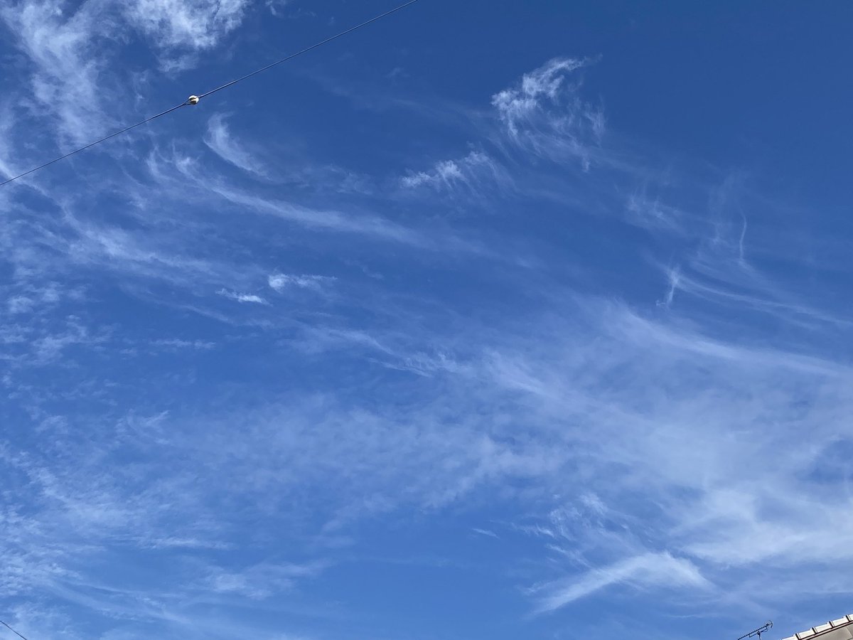 teacup1945's tweet photo. 秋空
ジャガイモが長雨で心配だったが順調（アンデスレッドだけ🥲）
里芋の収穫はまだですね

#今ソラ　#秋じゃが　#里芋 https://t.co/aowUaSkpjs