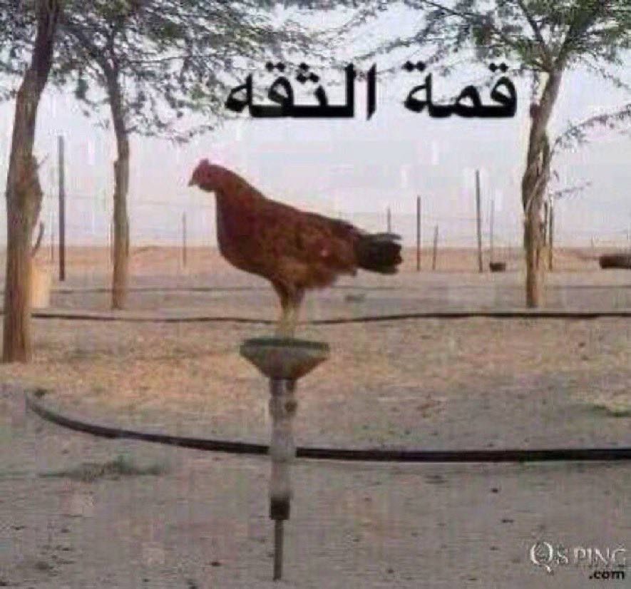 cirevill's tweet photo. اختي راحت تتبرع ولقو دمها ٩ https://t.co/kEcyHVT6Dg