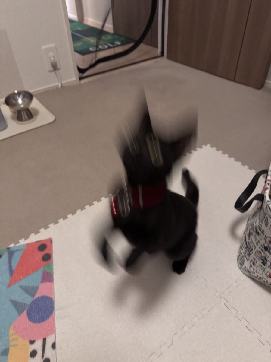 jijicat0308's tweet photo. ほんとわかる。 https://t.co/0bsi3MXduj
