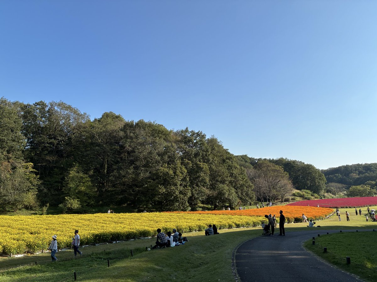 yukisuke173's tweet photo. 森林公園西口から歩いてたどり着いた
頑張って歩いて良かったと思える綺麗な景色 https://t.co/ALpaKCBZWm