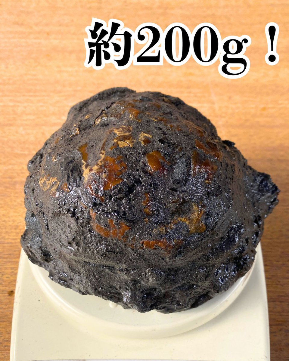 kujikohaku's tweet photo. 3連休最終日に大物琥珀でました！

最後の最後にお客様が見つけ、割れずに採掘されてて素晴らしいですね！
※写真は土がついてる状態です。

 #採掘体験 #琥珀 #恐竜 #アンバー #久慈琥珀博物館 #久慈 #岩手 #東北 #自然 https://t.co/m2V2BoCVud