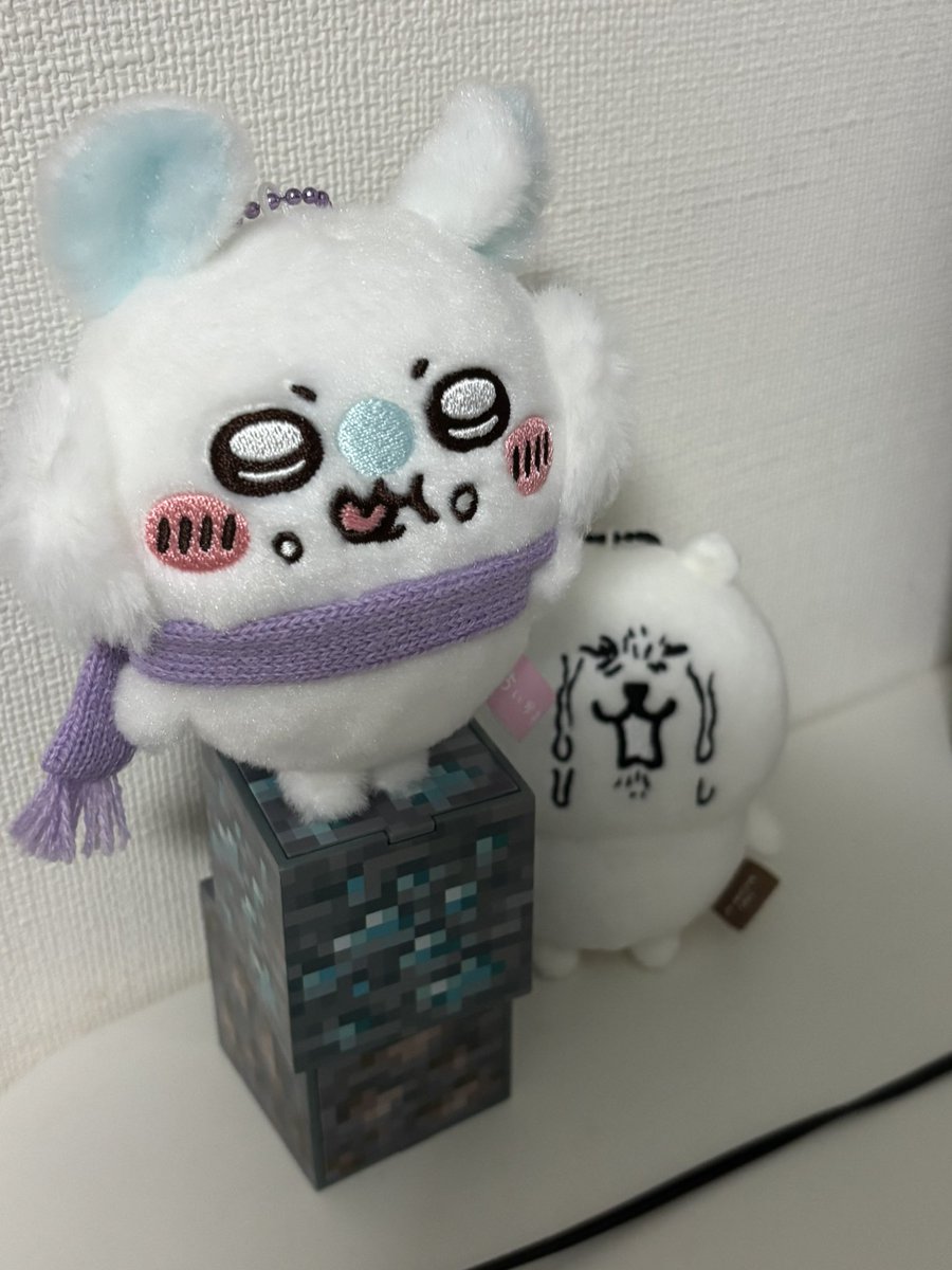 diryapangin's tweet photo. 농담곰컬렉터집에 모몽가가왔어요 https://t.co/SxiZnk1NDK