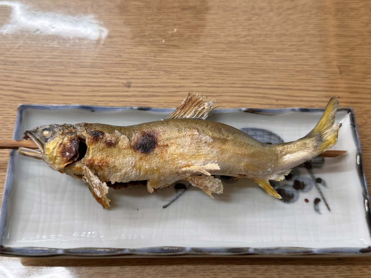 nejuko's tweet photo. 有名らしい滝を見に行ってきた。
初めて食べる鮎の塩焼きが美味しかった！子持ちじゃない方食べてワタが苦手だったので相方へ。日本酒が欲しくなる味らしいよ。

#袋田の滝 https://t.co/FdcYd80BoP
