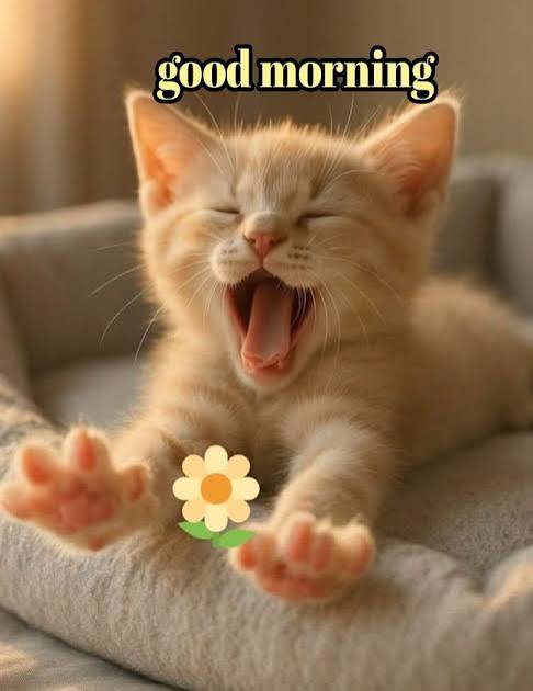 Endurance494131's tweet photo. Good morning fams 🌞 

A new day and a new week to go hard 💪

Let's give it our all https://t.co/iLekemxkoN