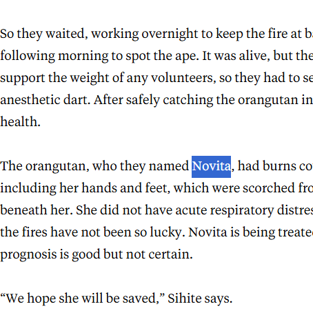 Forjink's tweet photo. This is fcking insane!

A lone 'orangutan' survived the Indonesian wildfires and LIVED TO TELL THE TALE!!!

She has since been named "Novita" and literally crawled across scorched ground before climbing the tallest tree to avoid burning to death.

INSANE STORY

Earlier Orangutan Outreach created a new campaign FOR HER and asked for crypto donations!!! SO GENNY

NATGEO tweeted about her too!!!
https://t.co/uDcWFu6SoU

Tweet: https://t.co/53x1TlKsf0