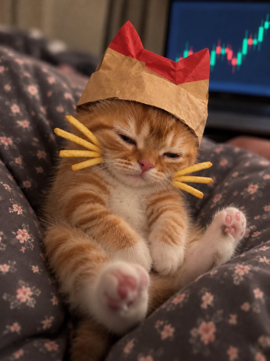 McCat__'s tweet photo. so eepy

watched every candle all night so you didn't have to. https://t.co/AHqYewDIZU