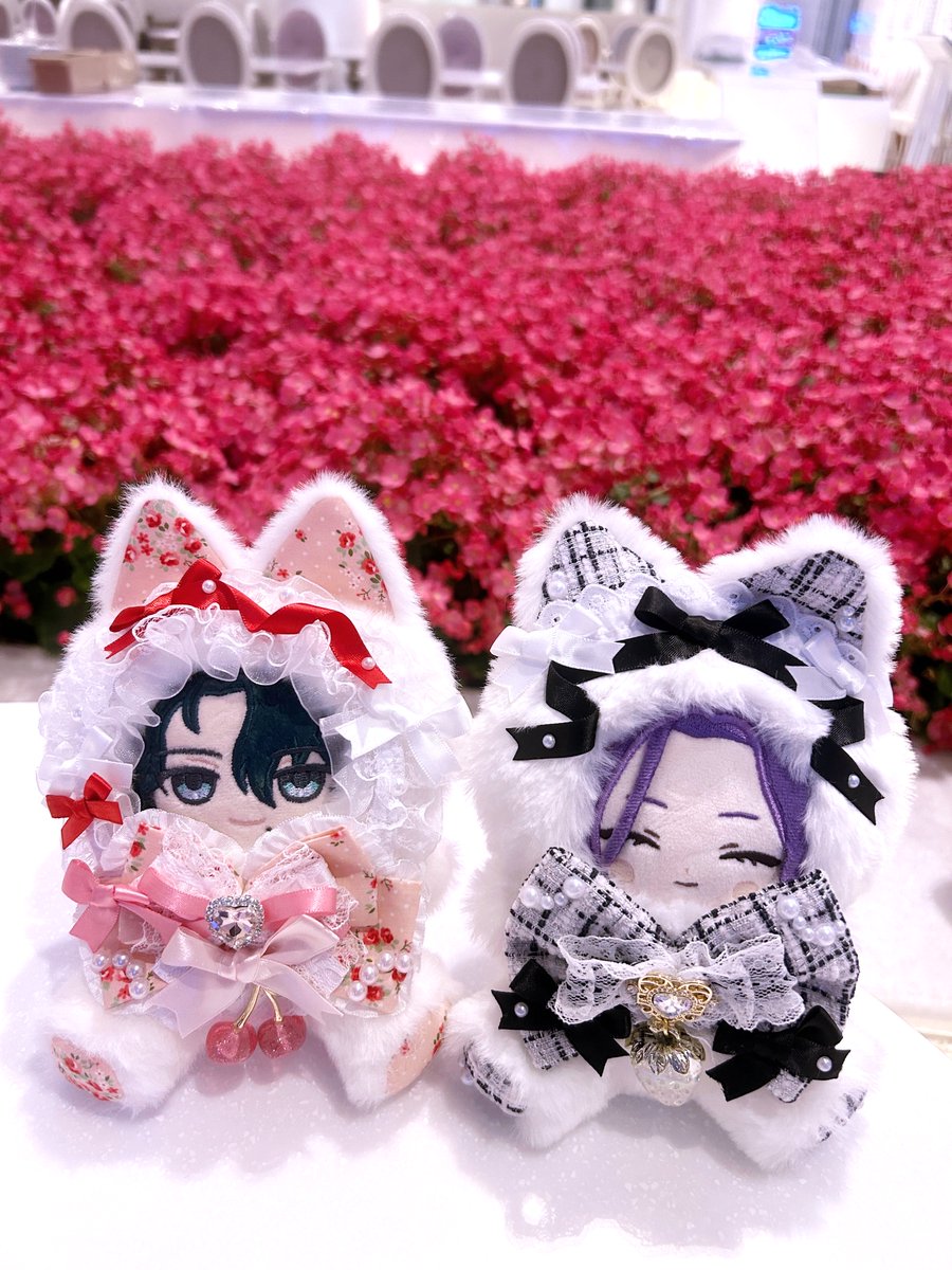 14_15_ho_'s tweet photo. セミオーダー会で作っていただいた着ぐるみ可愛い( ᴖ ̫ᴖ )♩はやくかぶりものも着せてあげたい

きぐるみ：usagi milk（ @usagi_mimilk ）さま

セミオーダー会参加できてとっても嬉しかったです、ありがとうございました…！🌸前に名古屋で購入させてもらった黒ツイードねこちゃんと一緒に📸 https://t.co/zcxAcppxdD