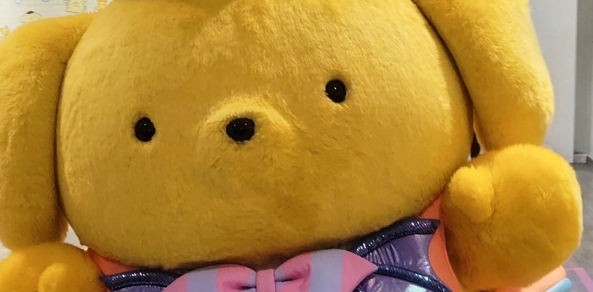 uu_channn's tweet photo. これは近くに来てくれると思わずズームのまま追っかけた結果、衣装がほぼ写ってないポムの図 https://t.co/OCU5yGixy7