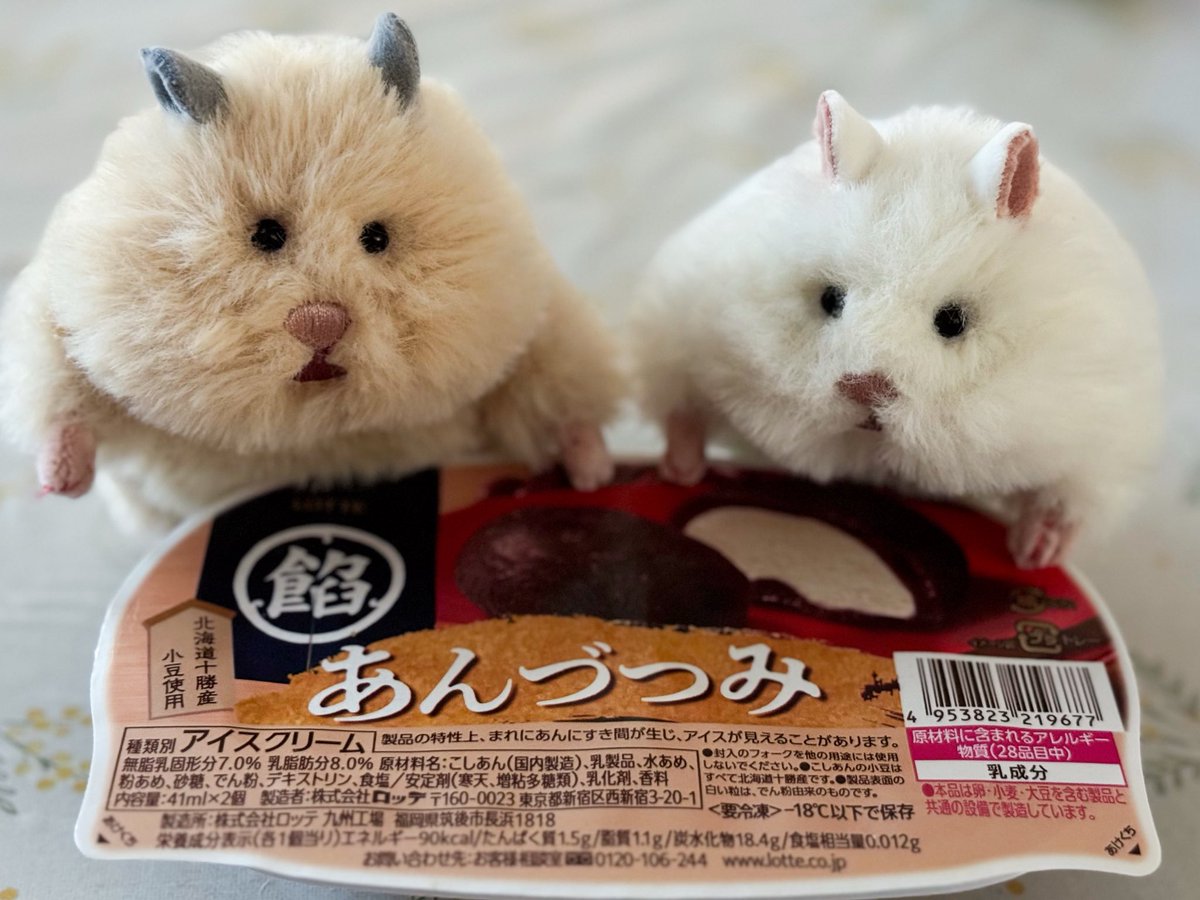 2colin5's tweet photo. うちのはむにぎり、目が合わない https://t.co/yJFKfteEKX