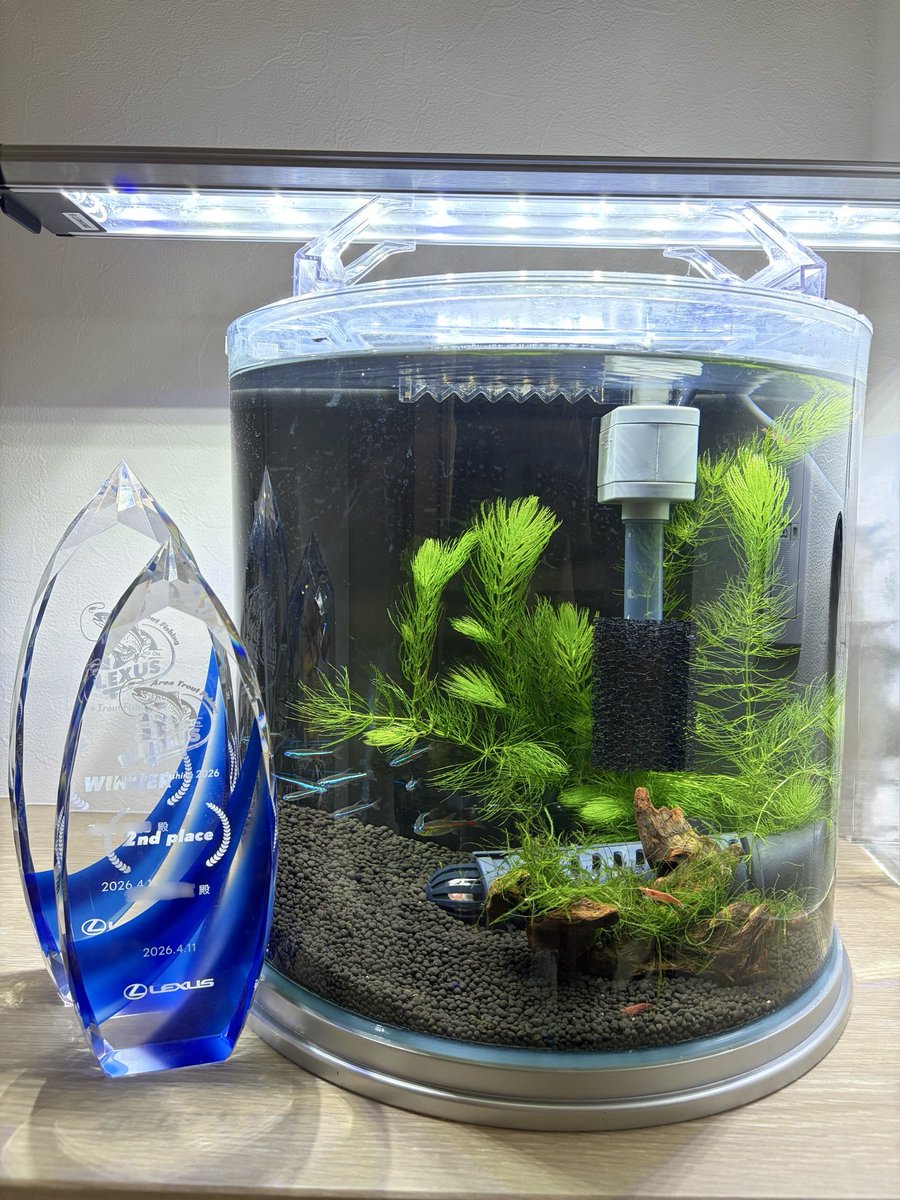 gtr_kai's tweet photo. 朝5㌔ウォーク。その後、はさうぇいさんの釣りを見に荒川、カボスを頂きに友達の所へ。
久々に熱帯魚水槽セット。水草は家で自生したウィローモスとマツモ。レクサストラウト釣り大会優勝の盾を添えた。

群馬勝利‼️

#アクアリウム
#群馬クレインサンダーズ
#佐賀バルーナーズ
#秩父
#エリアトラウト https://t.co/S1nSzvNOIx