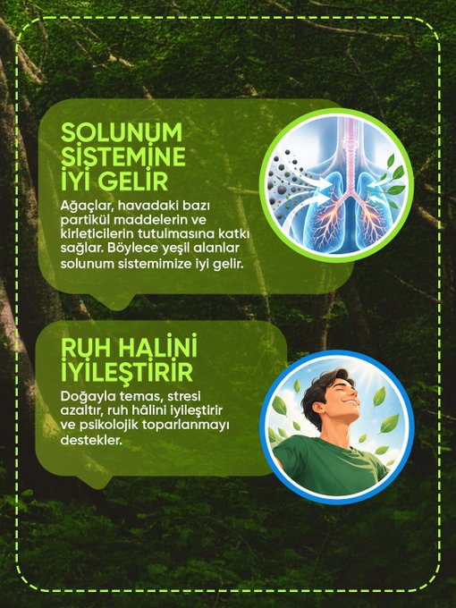 Resim