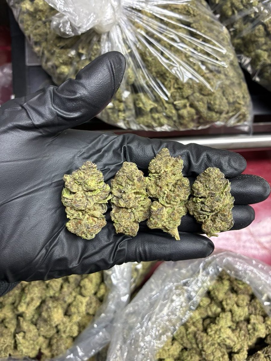 Londonderrybuds's tweet photo. 375-450 GMOS

Tap in 👇 
https://t.co/jsdC5hlEeC https://t.co/iA7bLG1u0Y