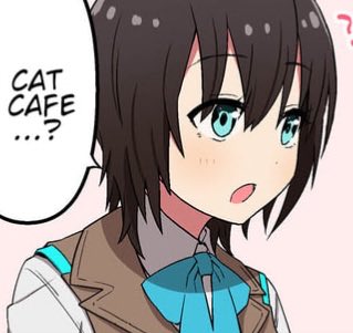 pokethbr's tweet photo. Aoi posting time. I don’t even like cats that much but I’d still happily go to a cat cafe with you Aoi https://t.co/6yJG86brGg