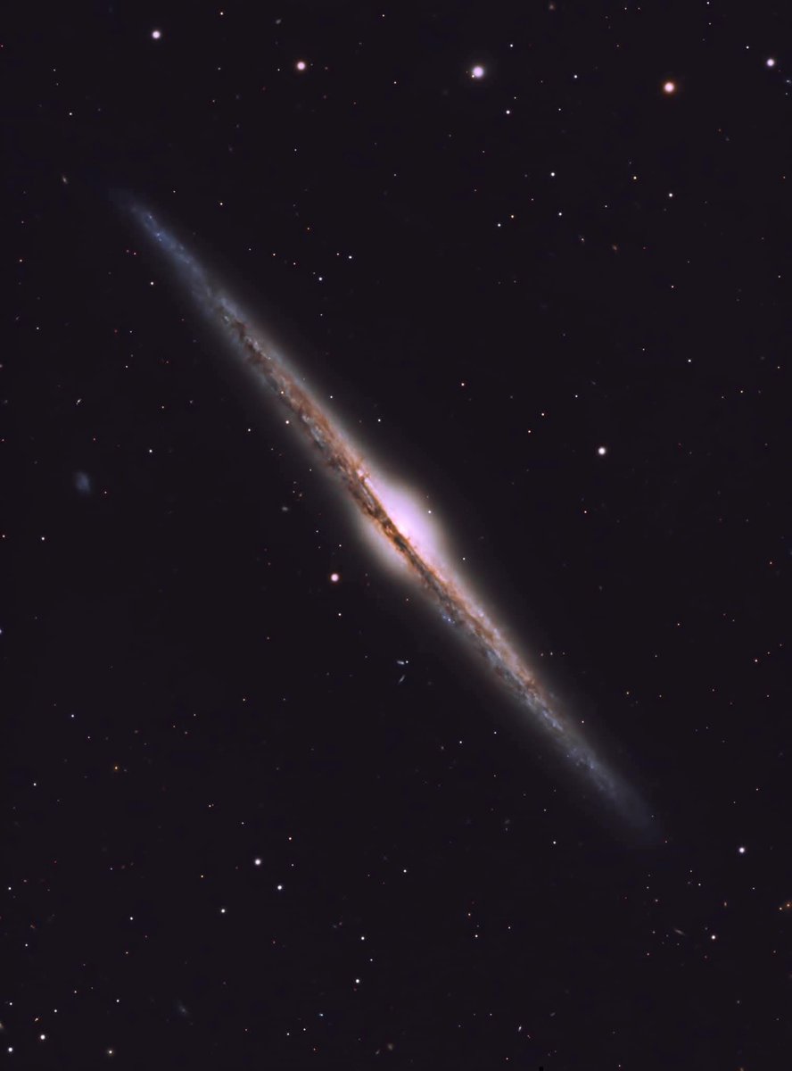 konstructivizm's tweet photo. From the side, a spiral galaxy becomes a blade of light. NGC 4565—the Needle Galaxy—is one of the cleanest edge-on views we have of a large spiral, lying 30 to 50 million light-years away in Coma Berenices. Seen nearly perfectly edge-on, it appears as a razor-thin streak of starlight sliced by dark, winding dust lanes that cut across a bright central bulge.

That orientation is a gift. Instead of looking down into the face of a spiral, we look along its plane, so the thinness of the stellar disk, the vertical reach of its dust, and the structure of its bulge are laid out in profile. Long stacked exposures bring out the faint outer envelope and the subtle contrasts that remain invisible to the eye, revealing how little vertical thickness separates the billions of stars orbiting in the disk from the emptier space above and below it.

The Needle is often held up as a proxy for how the Milky Way itself might look from outside. A dense central region—almost certainly dominated by a supermassive black hole—anchors the system, while the dark lanes that cross the disk are made of cold gas and fine dust that absorb the light of the stars behind them. Studying galaxies like NGC 4565 helps astronomers measure how thin a stellar disk can remain, how dust is distributed through the interstellar medium, and how such fragile structures persist and continue forming stars for billions of years.

Image credit: Brandon O’Meal.