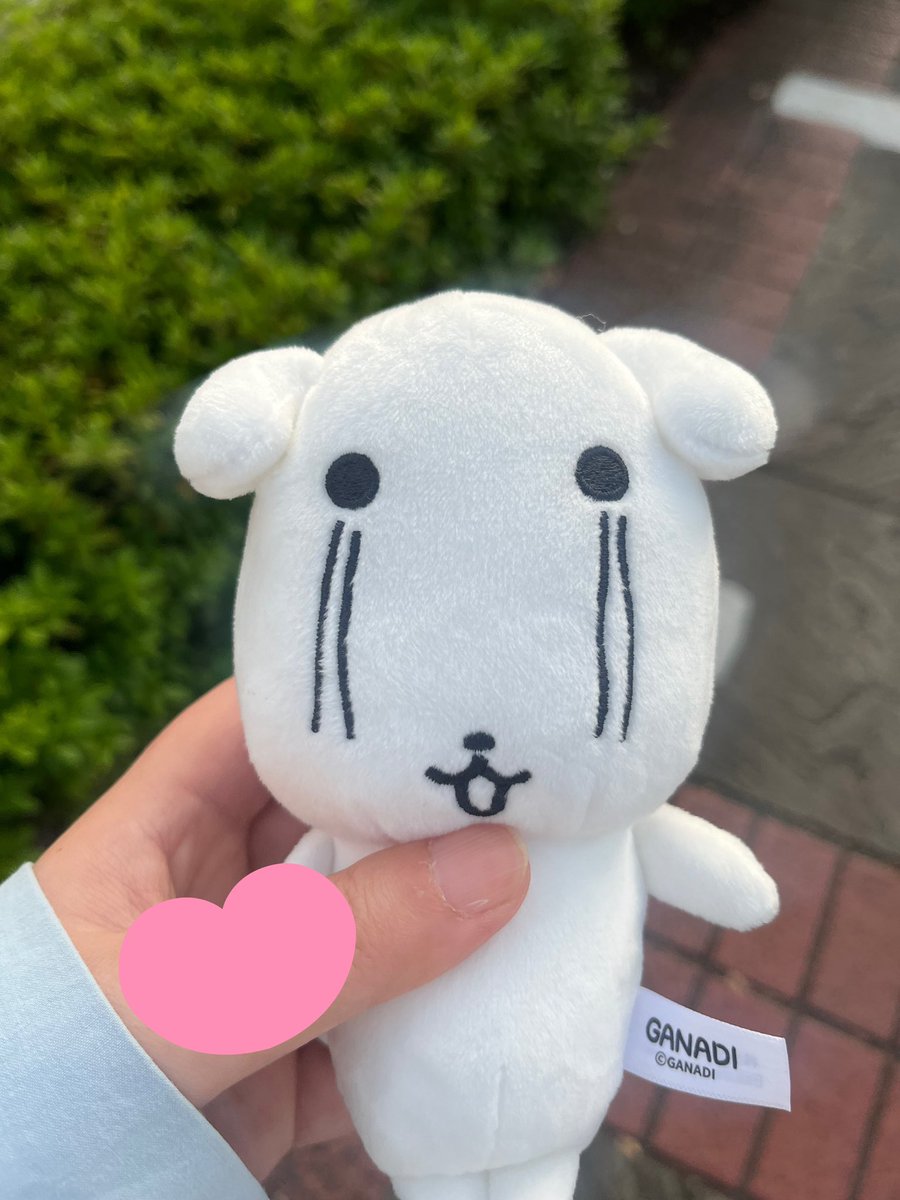 4_pudding_3kn's tweet photo. 가나디 잡았다!!!ㅋㅋㅋ https://t.co/FcKoZiPTgJ