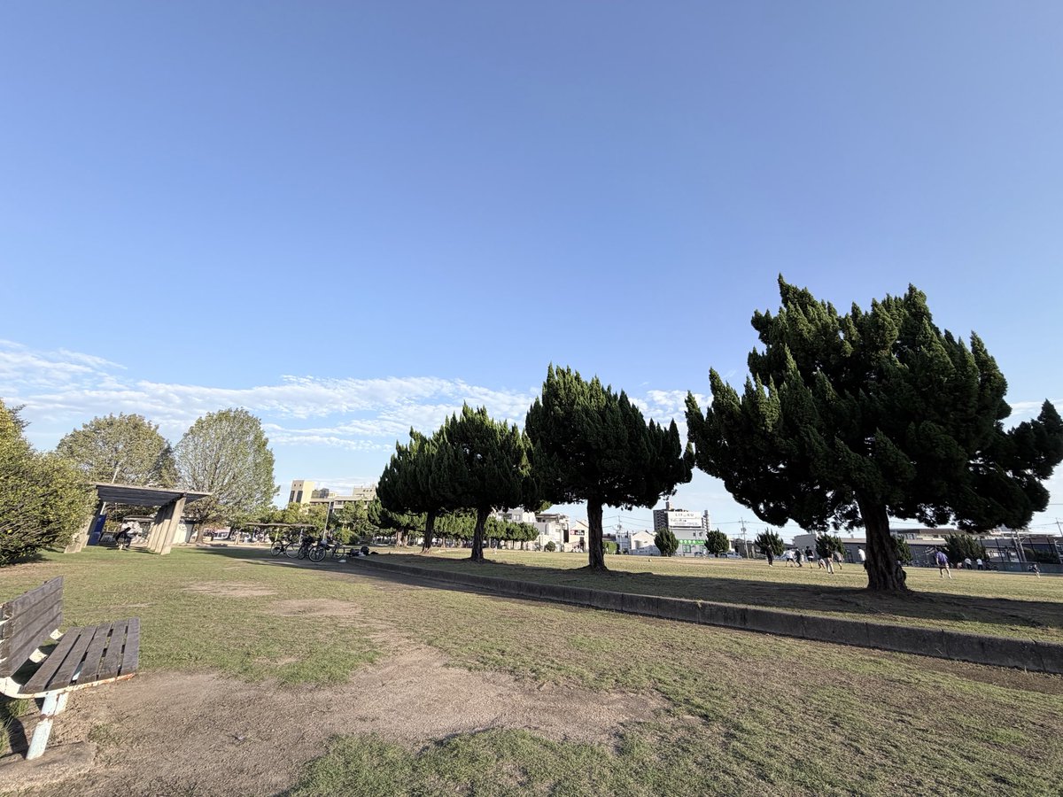 koritanuki's tweet photo. 久しぶりにお天気いいし公園きたら
気持ちよくて気持ちよくてぇ
下の子は大喜びのワンチャンのごとく走り回り飛び乗ってくる🐶
上の子もちょっとはしゃいでて
連れてきてよかったなりふふん

公園で日向ぼっこして寝れる https://t.co/BRZCa9R0YX