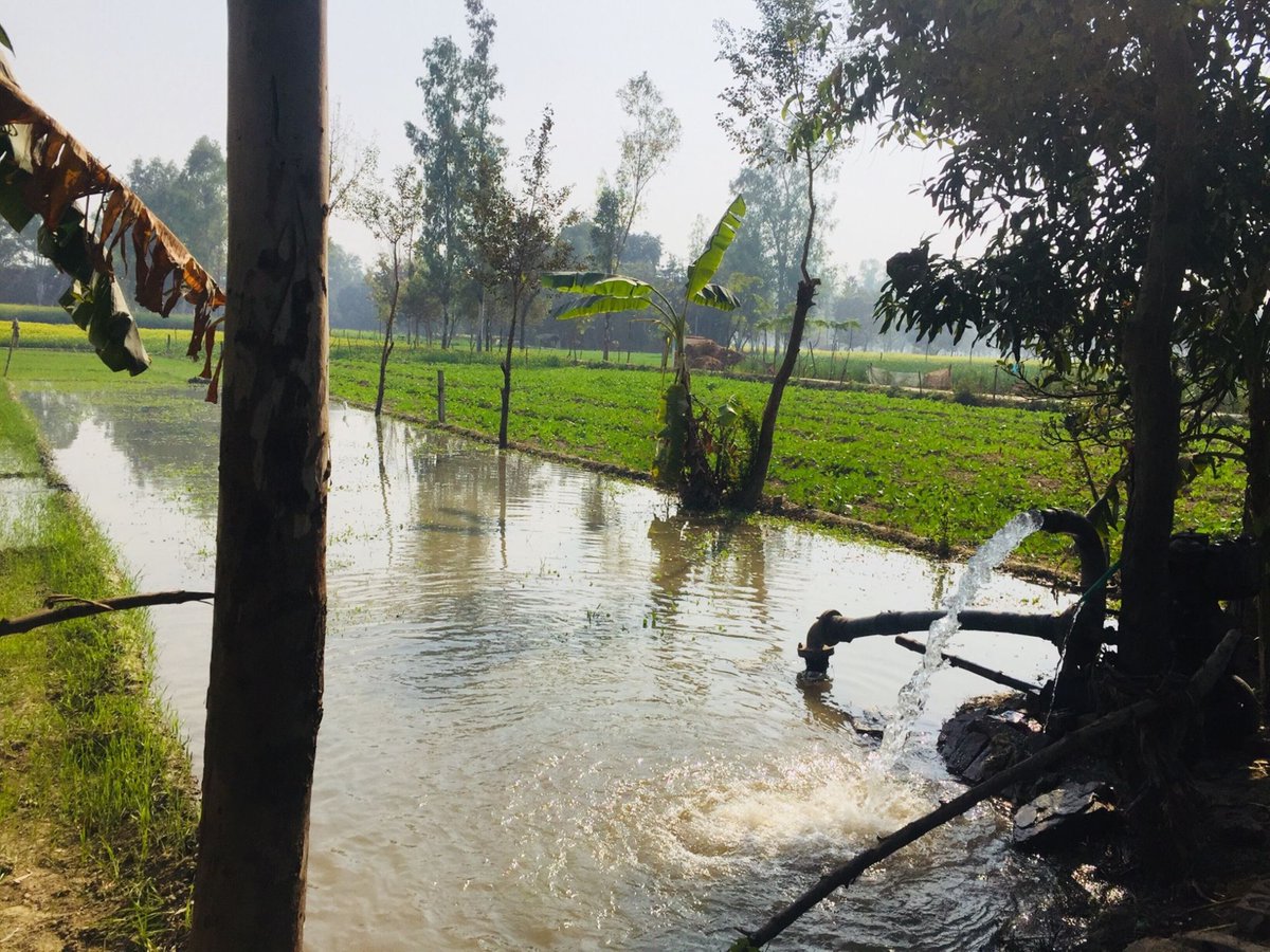 Tarmono13456325's tweet photo. Early morning at the creek—mud, dewdrops, crops u0026 functional tools wrap the quiet farmland in warmth. https://t.co/2zSibUN3KL