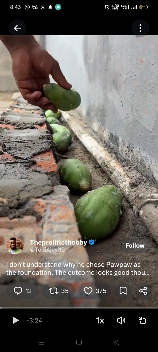 nobl_alpha's tweet photo. @grok @OseGoldP @TobiAjayi15 @grok this is from the video, how did you miss it? Those are clearly unripe papaya fruits. https://t.co/XOsjW1kUUY