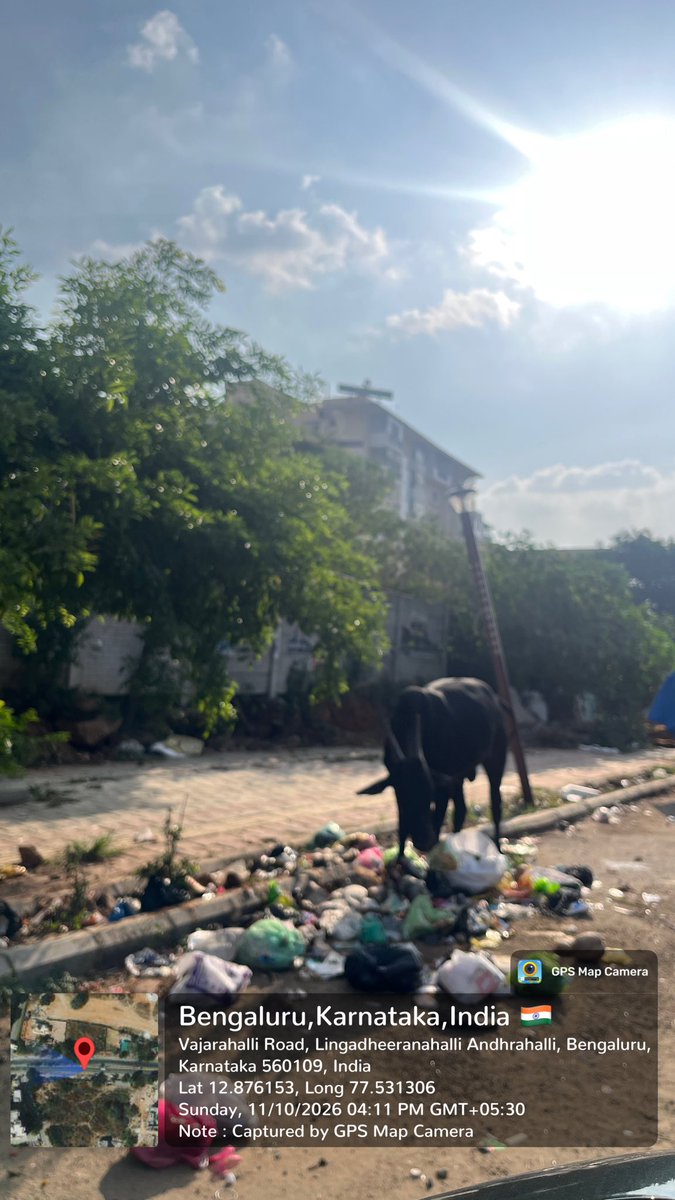 ambujkrblr's tweet photo. @ICCCBengaluru @osd_cmkarnataka @GBA_office @GBAChiefComm @comm_blr_south @krishnabgowda Adding more pics from yesterday. No one is cleaning up after the garbage is transferred to bigger trucks . First of all these trucks are occupying the main carriage way on 100 feet road , and then they don’t clean up the mess . Anyone monitoring? https://t.co/N531ZPOTOm