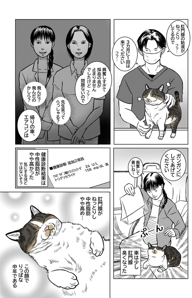 wako_kinyousya's tweet photo. 本日は「中年まっしぐら」。
猫がお尻をこすりつける時、何やら臭い時…それは肛門腺の絞り時です😌

#猫
#猫のいる暮らし
#猫マンガ
#漫画が読めるハッシュタグ https://t.co/eyvli7iOTR