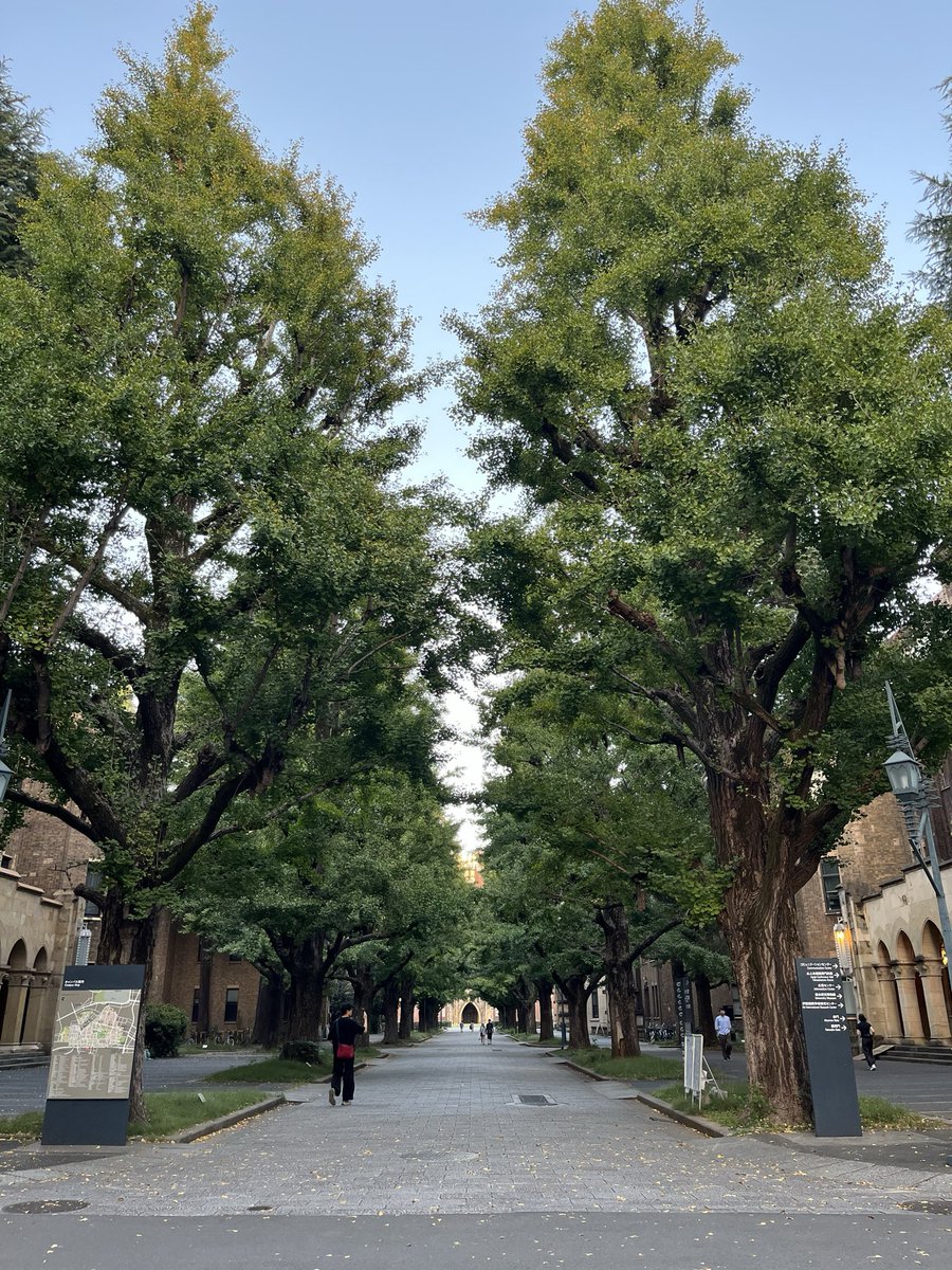 ken_cbr600's tweet photo. ここの見頃は12月。 https://t.co/SvCHZa5tyP