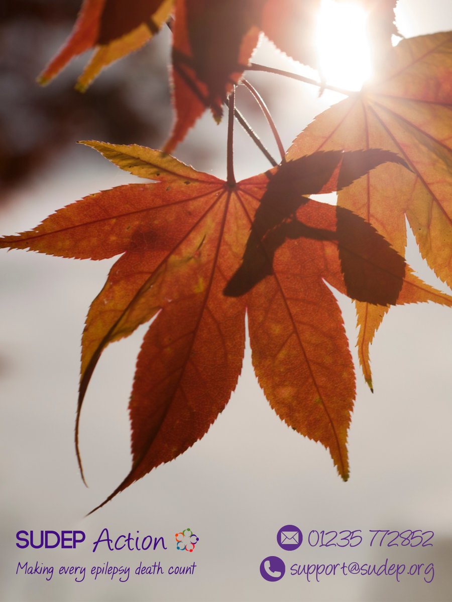 SudepAction's tweet photo. “Grief has seasons, too. And sometimes you can feel them changing.” (Claire Bidwell Smith)

Just call 01235 772852 or email support@sudep.org

#SUDEP #Epilepsy #Grief #Support https://t.co/Tc7Zgc3Efl