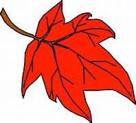 popethcymraeg's tweet photo. Geirfa’r Hydref:
9. Dail coch
(note:  soft mutation after the singular:  deilen goch = a red leaf)
#YrHydref #WelshAutumnWords https://t.co/S6zscBO2fI