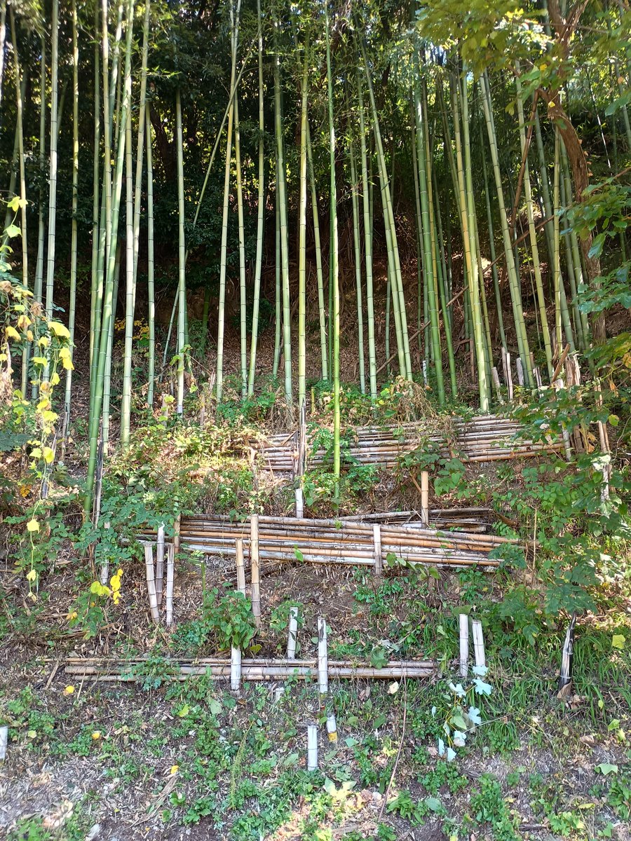 hiraemom's tweet photo. ビフォーアフターが分かりづらい‥ https://t.co/CjzfdhxVlO