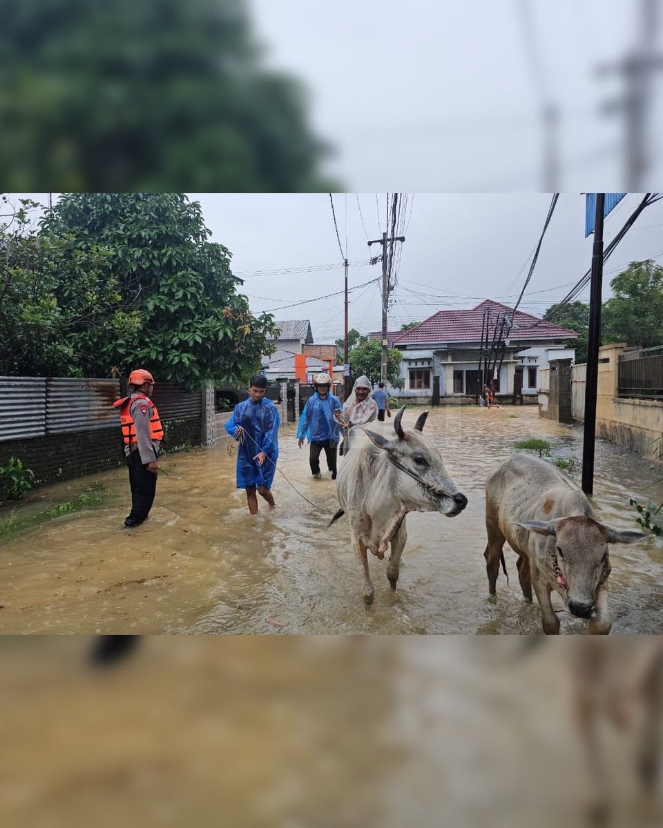 Res_Pel_Belawan's tweet photo. Polri melalui Polda Sumatera Barat mengerahkan personel gabungan untuk menangani banjir yang melanda sejumlah wilayah di Kota Padang. https://t.co/ZhezWBAHma