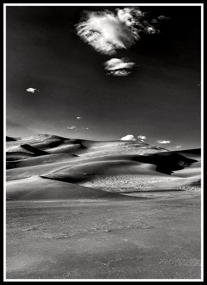 DMiller52325459's tweet photo. Happy #MonochromeMonday everyone… make it a great start to the new week 🤙🏻 https://t.co/0OwxgJUJYF