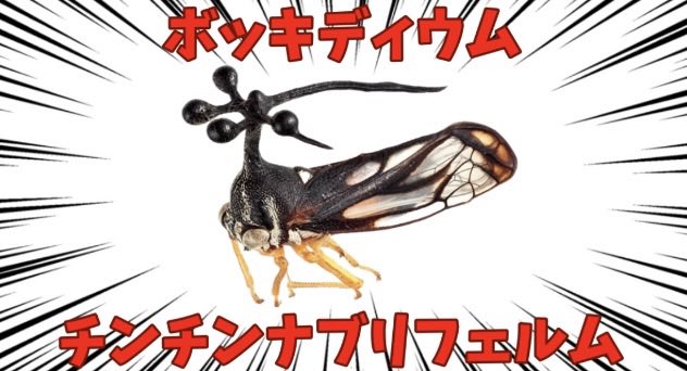 chickennuguyke's tweet photo. @Jyasin_nekozame https://t.co/4QwTjUI0F8
