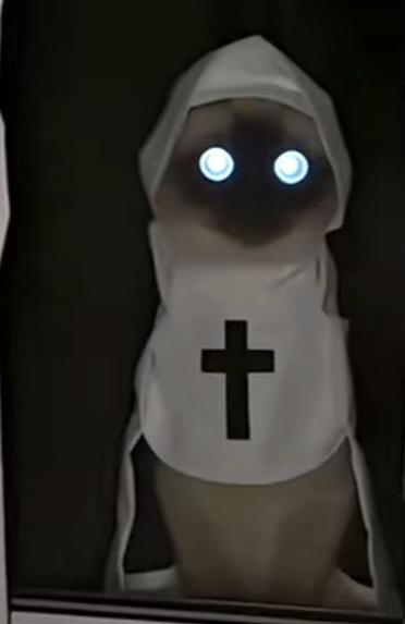 akazadevs's tweet photo. This cat is going GIGA viral with over 5 million views on multiple posts, for a combines 30 million views over the last few days.

It also fits the Halloween narrative perfect. I think it could be the main spooky runner.

Tons of nun and pope memes are already being made. https://t.co/JF00aDh8BE