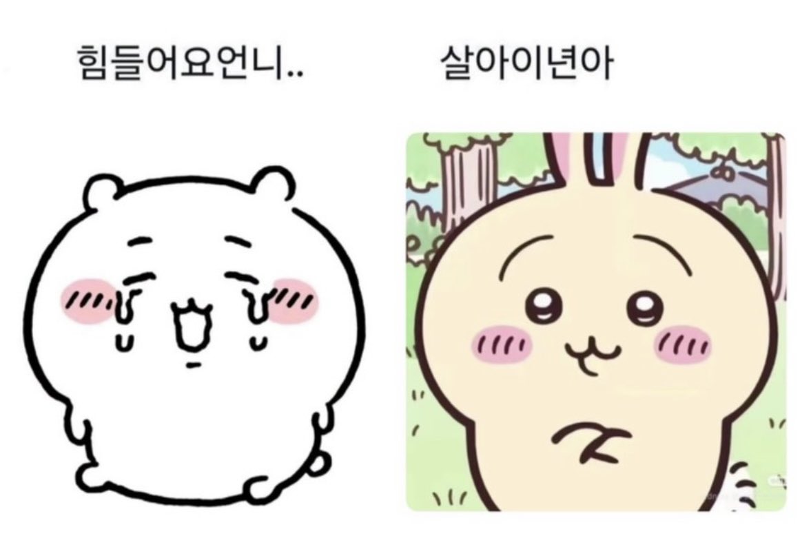 yuu_uu_0's tweet photo. 힘들어요언니 https://t.co/fzQOEFYJ1H
