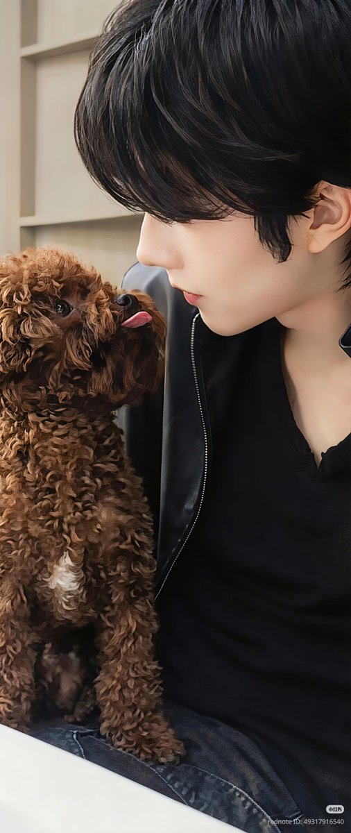 xxgxingmi's tweet photo. Kitty and his puppy🐱🐶💕

#EliotHuang #HuangXing https://t.co/a3JOz0NPSV