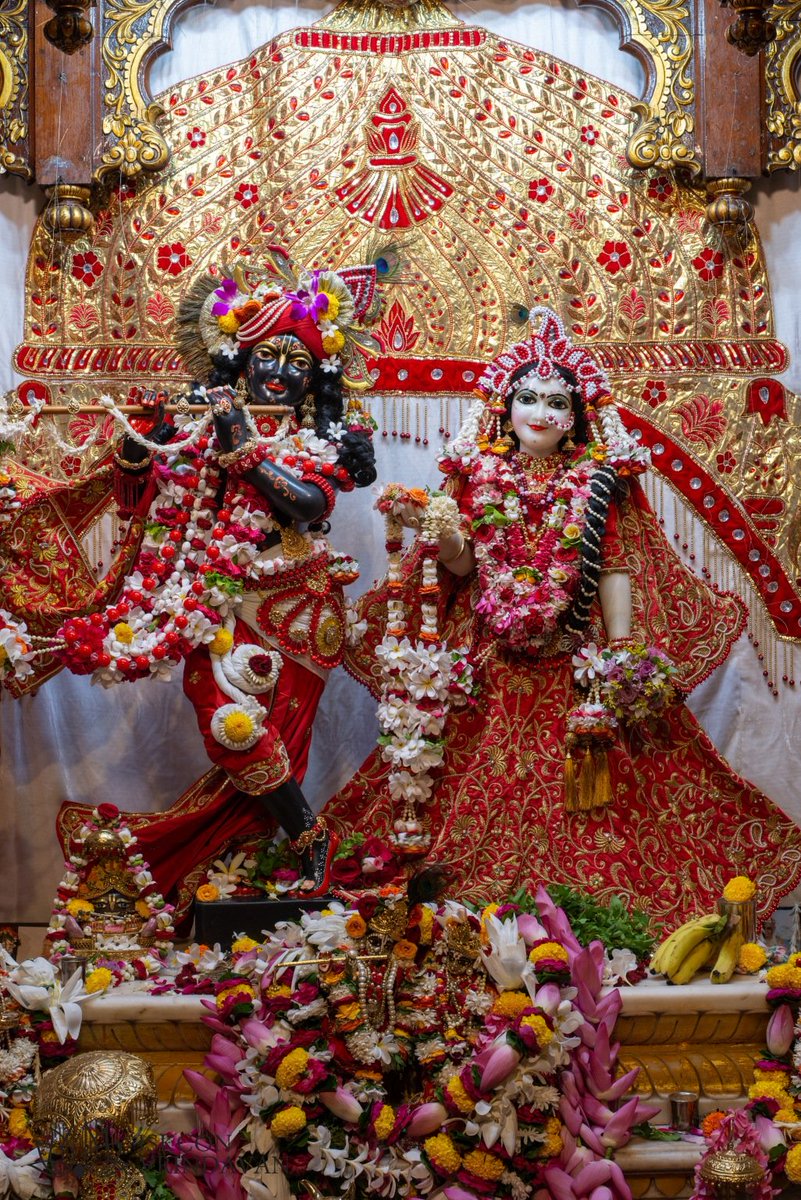 theholy_monk's tweet photo. Today's Singar Darshan 
ISKCON Temple Vrindavan 
Date: 12 Oct 2026

🦀🦩🐙Radha Shyam Sundar 🦂🦚🦃 https://t.co/2yj21qPjN4