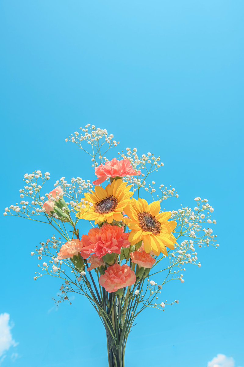 Noah_photobook's tweet photo. 空とお花が好きなあなたへ。 https://t.co/wwdlmxuAPu